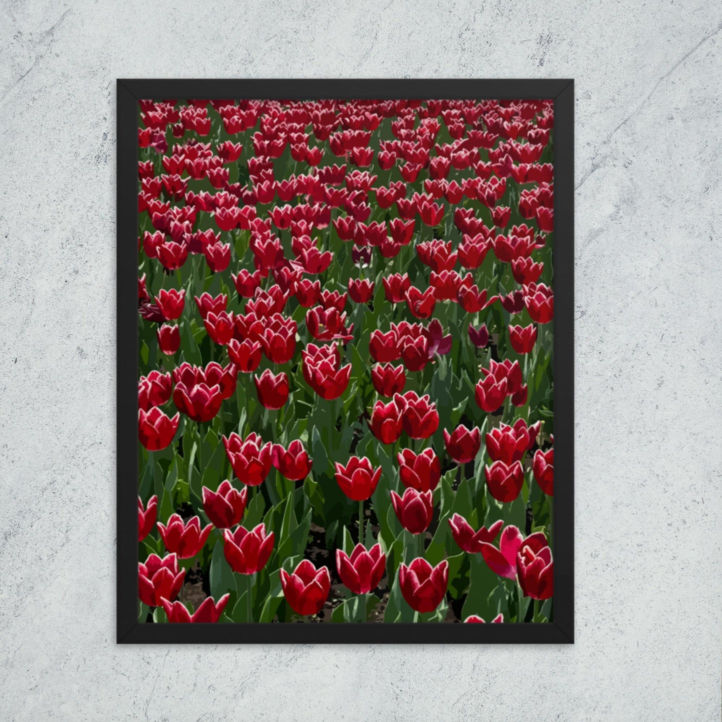 Framed Tulip Illustration